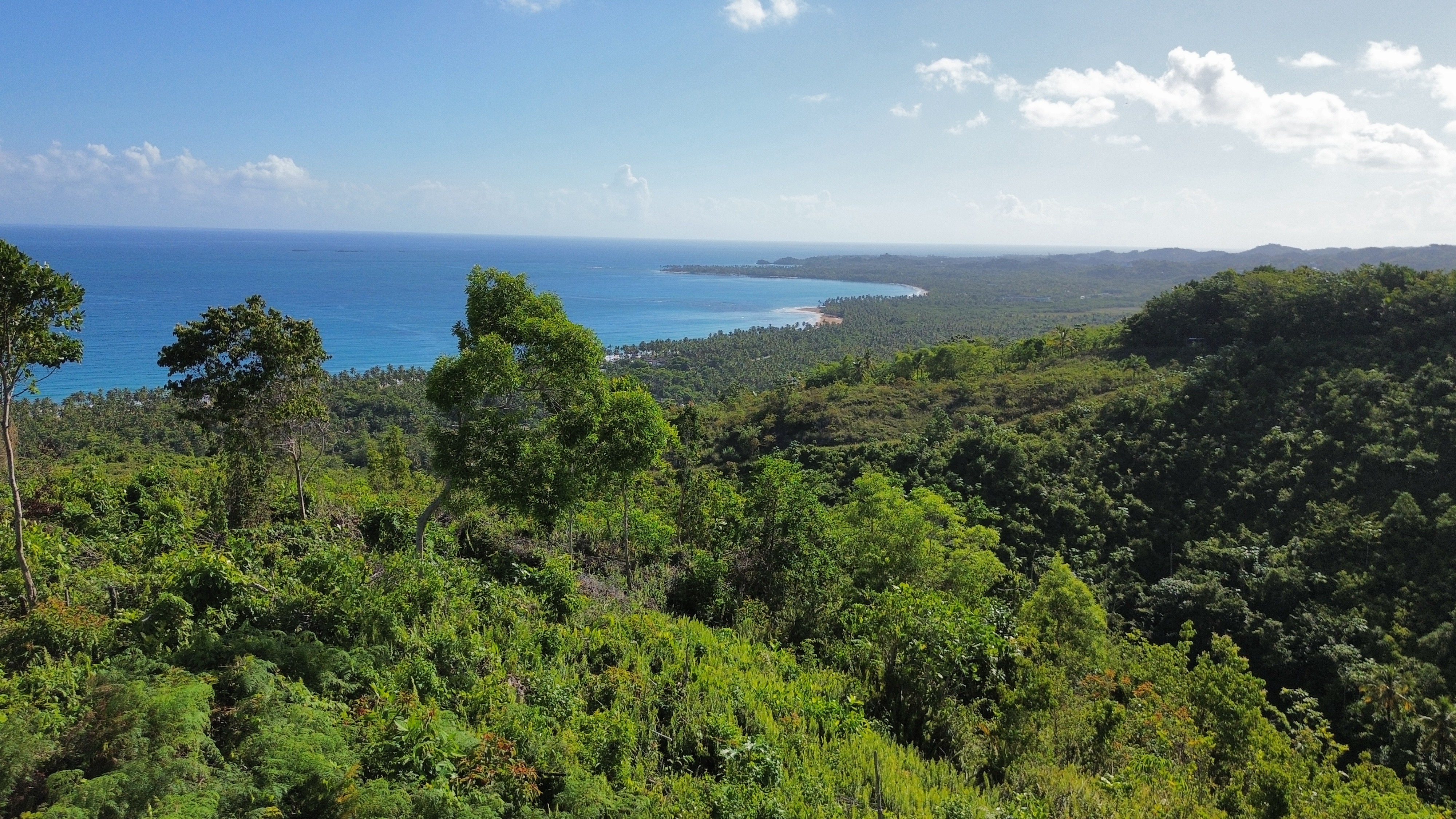 Terreno con vistas panorámicas al océano en la zona de Cosón