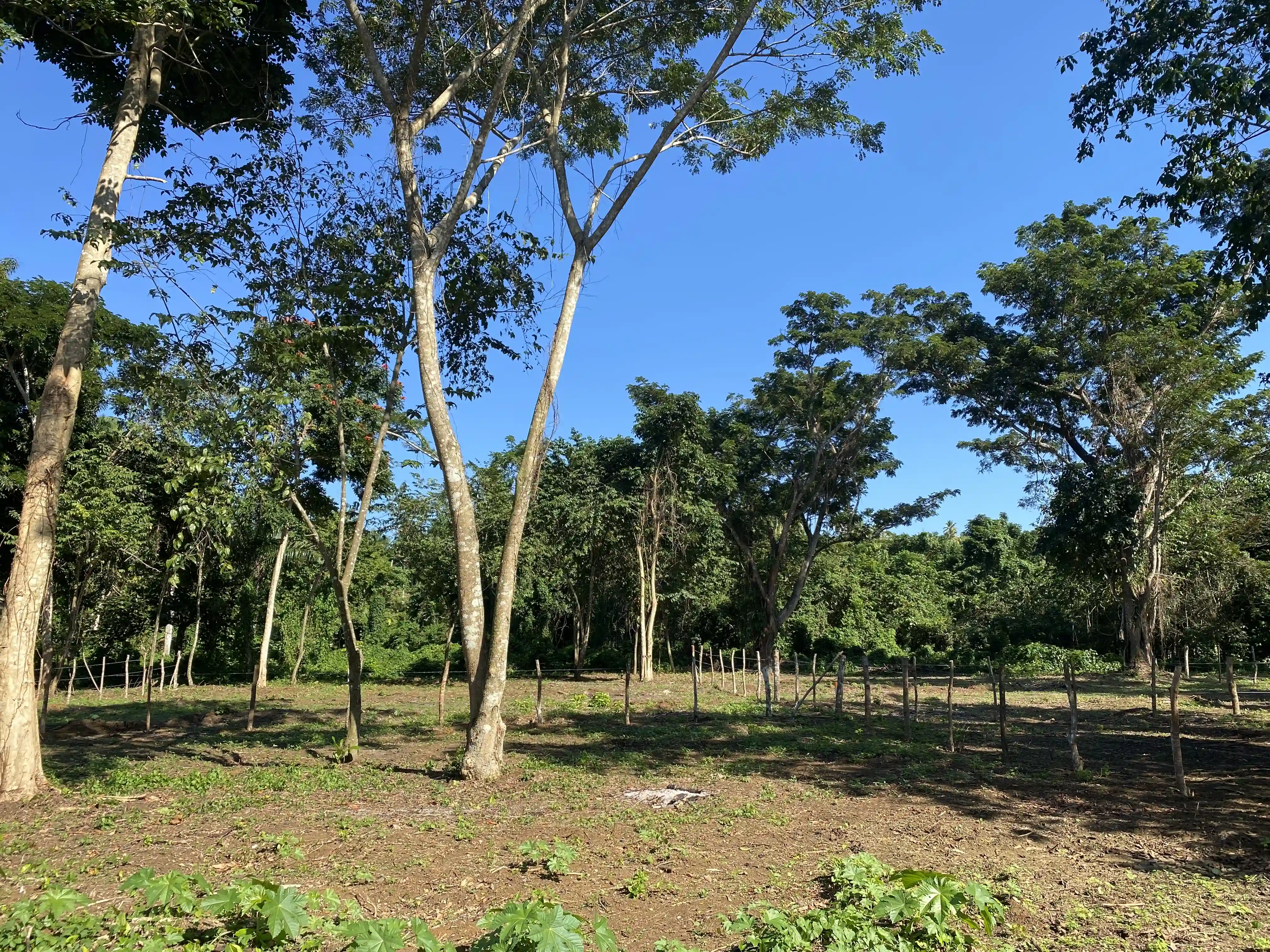 photo of property in dominican republic