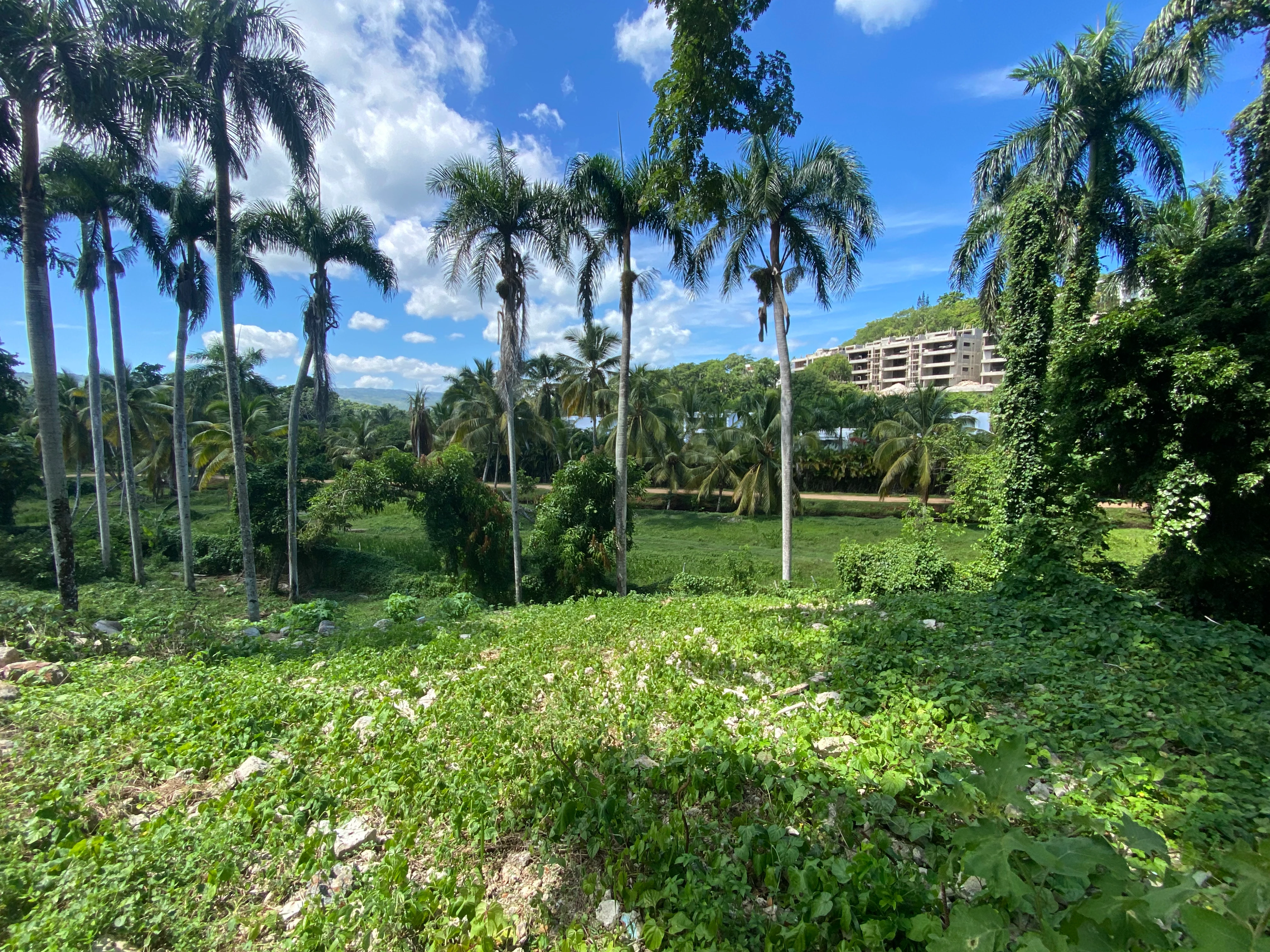 real estate las terrenas