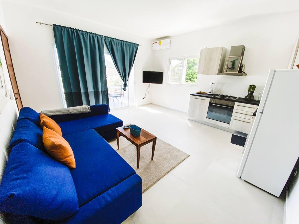 One-Bedroom Condo in El Pueblecito, Las Terrenas