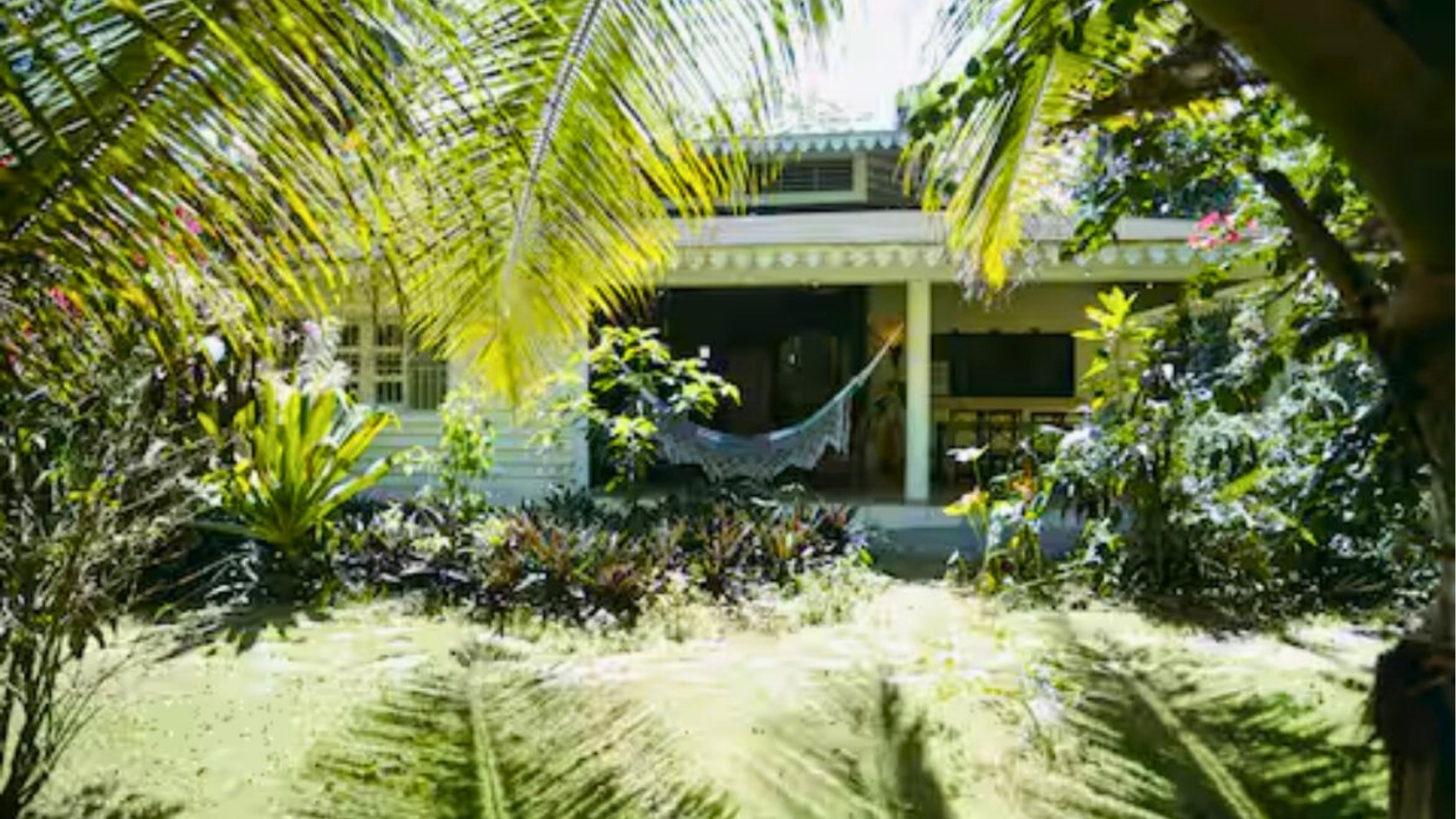 Autonomous Eco House in park