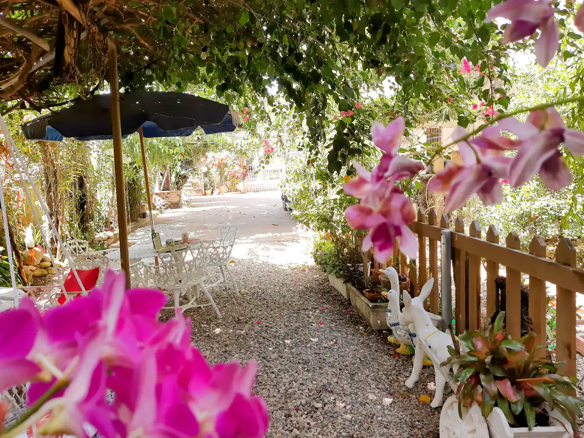 Cozy 1BR Lagoon View Studio With Private Balcony and Breeze in Cabarete