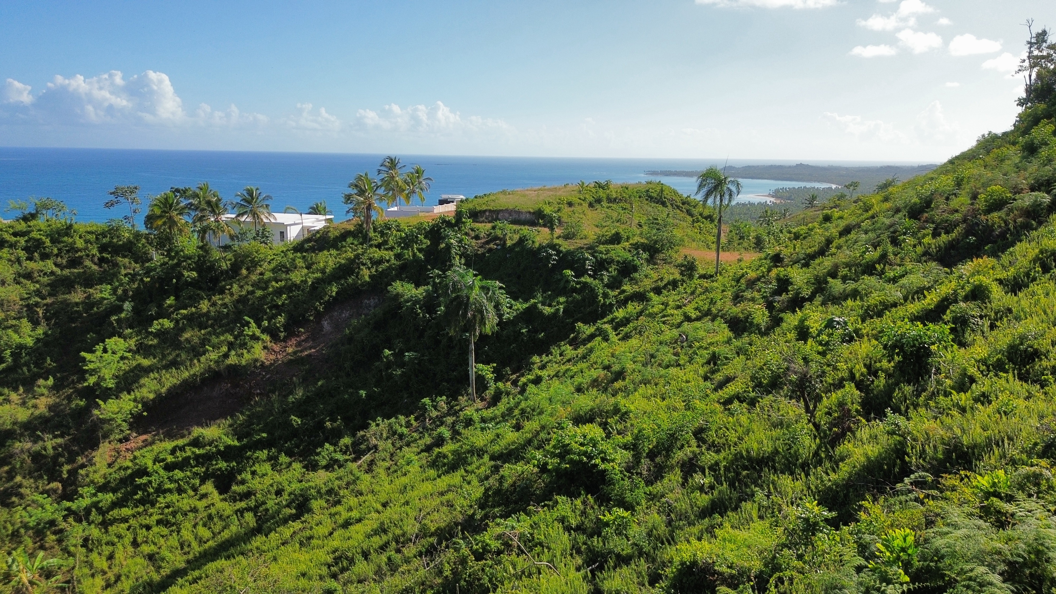 Terreno con vistas al océano sobre Cosón y la costa