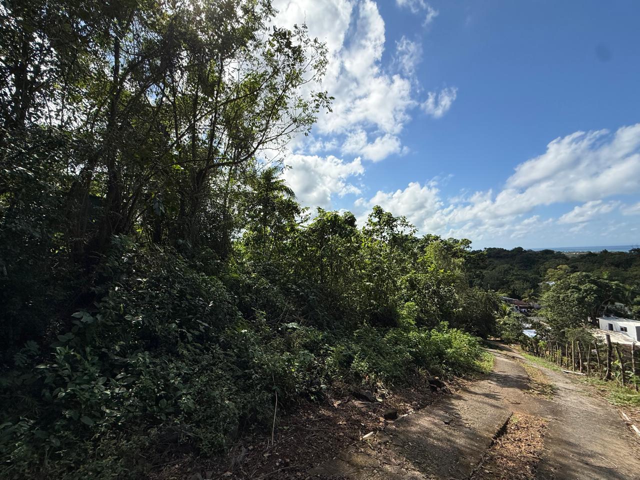 photo of property in dominican republic