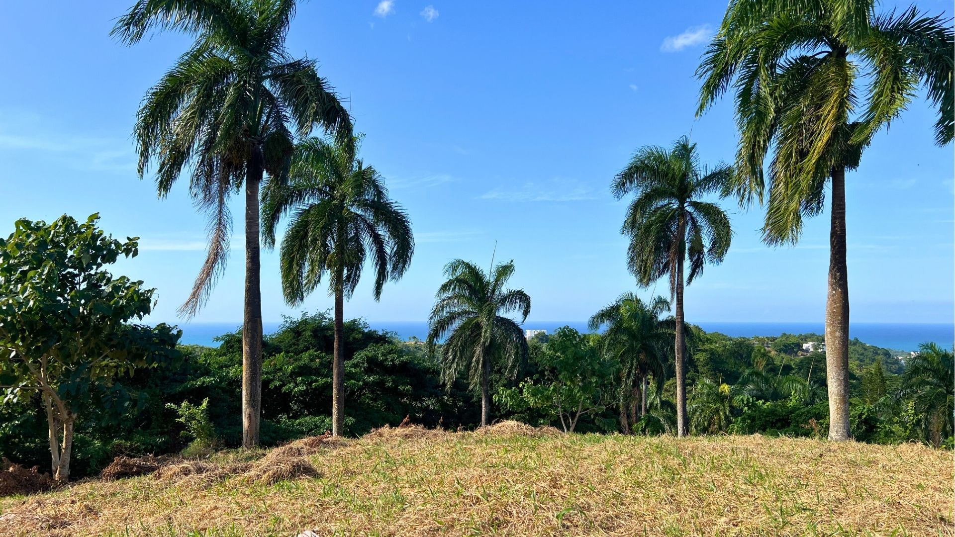 photo of property in dominican republic