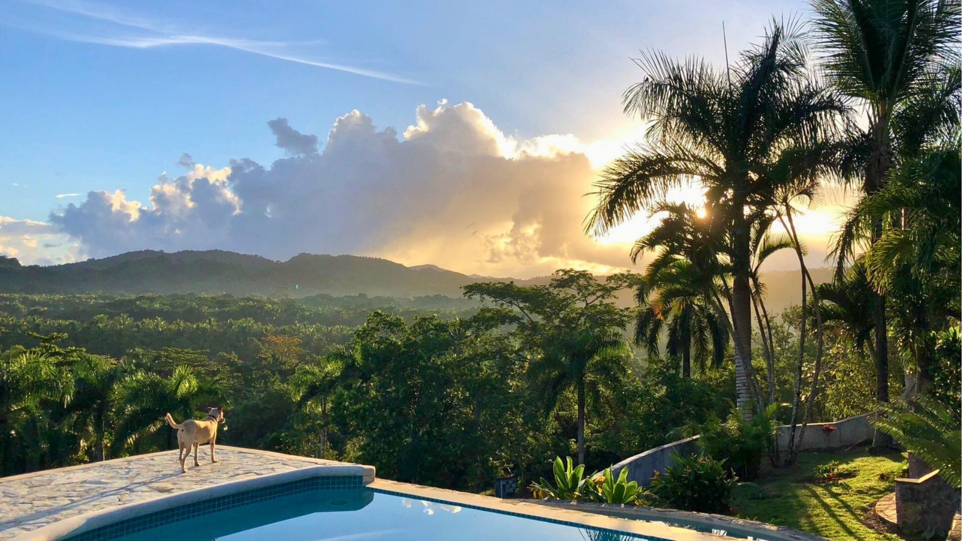 photo of property in dominican republic