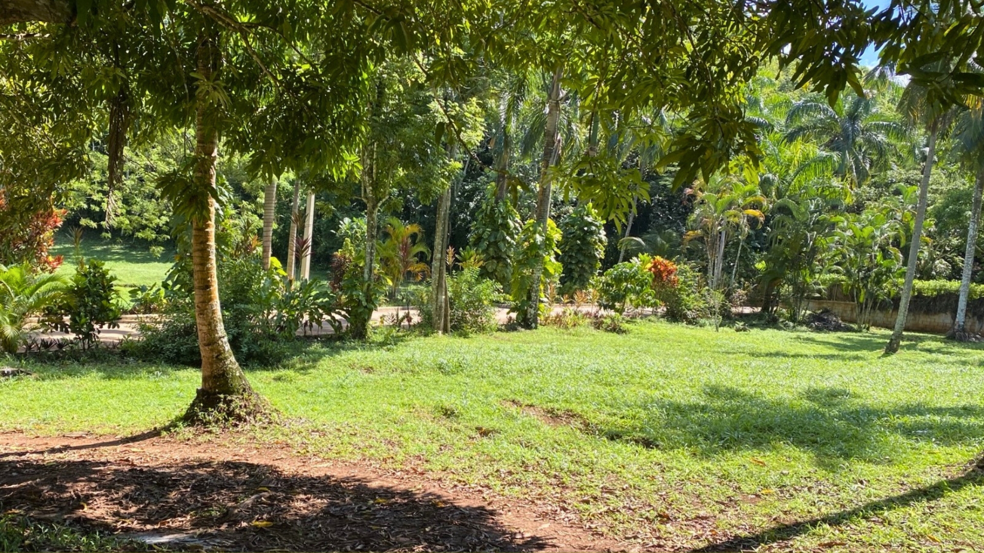 Ready-to-Build Lots with Clubhouse Access – 5 Minutes from Town